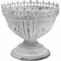Floristik24 Dekoratív trófea fém dísztál fehér korona éllel H15cm
