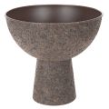 Floristik24 Kerek virágcserép talpon, modern virágcserép, 25 cm