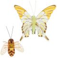 Floristik24 Pillangó, méhecske dekó kapcson 4cm - 8cm 9db