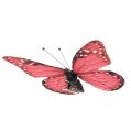 Floristik24 Pillangó rózsaszín csíptetőn 11cm 6db