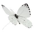 Floristik24 Pillangó fehér 20cm huzalon 2db