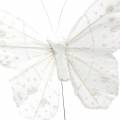 Floristik24 Dróton fehér tollas pillangó csillámmal 10cm 12db
