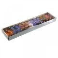 Floristik24 Tolllepkék, díszlepkék pálcán, virágdugók rózsaszín, narancs, ibolya, barna, kék, bézs 6×8cm 12db