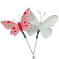 Floristik24 Pillangók drótbádoggal színes 6cmx5cm L24cm