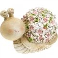 Floristik24 Virágdíszes csiga, kerti állat, díszcsiga, nyári dekoráció barna/rózsaszín/zöld H13,5cm L19cm