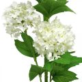 Floristik24 Hógolyó ág mesterséges növény Selyemvirág Fehér Ø6,5cm L78cm