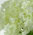 Floristik24 Hógolyó, selyem virágok fehér 47cm