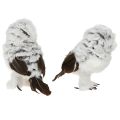 Hóbagoly Dekoratív Figura, Bagoly Pár, Fehér És Barna, 12 cm Magas, 2 Darab | Floristik24.hu
