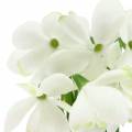 Floristik24 Műhóvirág fehér 26,5cm 6db