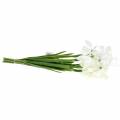 Floristik24 Műhóvirág fehér 26,5cm 6db