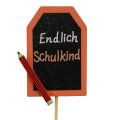 Floristik24 Vissza az iskolába díszdugó “Végre iskolás gyerek” fa 7×5,5cm 16db