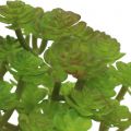 Floristik24 Mesterséges növények cserépben Artificial Succulent Green H15cm