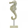 Floristik24 Fából készült csikóhal, tengeri dekorációval, dekoratív figurával tengeri állat natúr színű, fehér H35cm