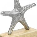 Floristik24 Fém tengeri csillag, tengeri dekoráció, dekoratív szobor ezüst, természetes színek H18cm