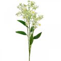 Floristik24 Műselyem robbanás, virágdísz, selyemvirág, díszvirág fehér L72cm