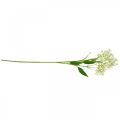 Floristik24 Műselyem robbanás, virágdísz, selyemvirág, díszvirág fehér L72cm