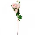 Floristik24 Selyemvirágos bazsarózsa mesterséges világos rózsaszín, fehér 135cm