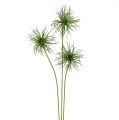 Floristik24 Selyem virágok xantium zöld 63cm 4db