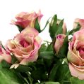 Floristik24 Selyemszövet virágos rózsacsokor L26cm régi rózsa 3db