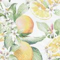 Floristik24 Szalvéta nyári asztaldísz citromos dekoráció 25x25cm 20db