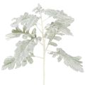 Floristik24 Mesterséges Senecio ág, ezüstlevél, bonyolult kidolgozású, 45 cm, 3 darab