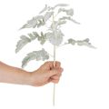Mesterséges Senecio ág, ezüstlevél, bonyolult kidolgozású, 45 cm, 3 darab | Floristik24.hu