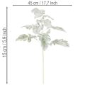 Mesterséges Senecio ág, ezüstlevél, bonyolult kidolgozású, 45 cm, 3 darab | Floristik24.hu