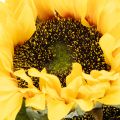 Műnapraforgó valósághű levelekkel és virágokkal, 58 cm, 3 darab | Floristik24.hu