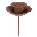 Floristik24 Pálcás gyertyatartó bedugáshoz, rozsdás megjelenés, Ø8,5cm, H4cm, 4 db