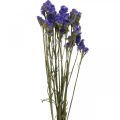 Floristik24 Csokor tengeri levendula, szárított virágok, tengeri levendula, Statice Tatarica kék L46-57cm 23g