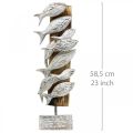 Floristik24 Dekoratív halállat fa halraj Tengeri dekoráció 59cm
