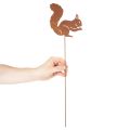 Kerti karó mókus rozsda díszkaró virágágyásba és virágcserépbe 52cm 2db | Floristik24.hu