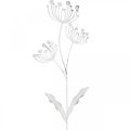 Floristik24 Tavaszi dekoráció, deco dugós virág kopott chic fehér, ezüst hossz 87cm sz18cm