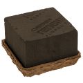 Floristik24 Virághab 1/2 tégla OASIS® Renewal® Biolit® 12 cm 2 db