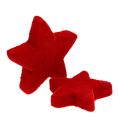 Floristik24 Csillag keverék vörös pelyhes 4-5cm 40db