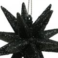 Floristik24 Felakasztható karácsonyi dekorációs csillagok fekete Ø7,5cm 8db