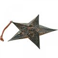Floristik24 Karácsonyi fogas Star Metal Star Black H19cm