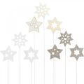 Floristik24 Virágdugó csillagok, Advent, virágdísz, fa csillagok natúr, fehér, arany csillogó L27 / 28,5cm 18db