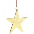 Floristik24 Arany csillag, adventi dekoráció, deco medál karácsonyra 12×13cm 2db