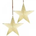 Floristik24 Arany csillag, adventi dekoráció, deco medál karácsonyra 12×13cm 2db