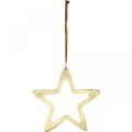 Floristik24 Karácsonyi medál, csillagdísz adventre, díszcsillag arany 14 × 14cm