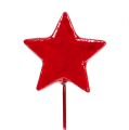 Floristik24 Csillagok dróton díszítő 5cm piros 48db
