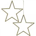 Floristik24 Karácsonyi dekoráció csillag medál arany glitter 12cm 12db