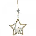 Floristik24 Karácsonyi dekoráció csillag fa deko fogas Ø13,5cm 4db