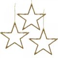 Floristik24 Csillogó csillagok, adventi díszek, akasztható csillagdíszek, karácsonyi díszek arany 11,5 × 12cm 12db