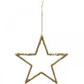 Floristik24 Csillogó csillagok, adventi díszek, akasztható csillagdíszek, karácsonyi díszek arany 11,5 × 12cm 12db