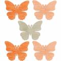 Floristik24 Szórvány dekoráció pillangó fa pillangók nyári dekoráció narancs, sárgabarack, barna 144 db