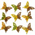 Floristik24 Szórványos dekoráció pillangók fa zöld/sárga/narancs 3×4cm 24db