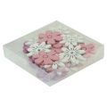 Floristik24 Szórványos dekorációs asztali virágok fa fehér rózsaszín lila 3,5cm 36db