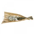 Floristik24 Acroclinium White, száraz növények, Helichrysum, száraz virágok L20-40cm 25g